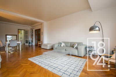 Grand T3 - balcon sur cours et cave
