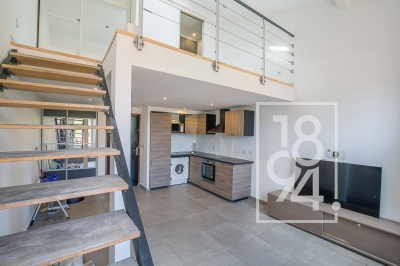Appartement style LOFT 44 m2 coeur Saint Giniez