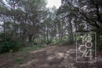 Terrain non constructible à Lançon de Provence
