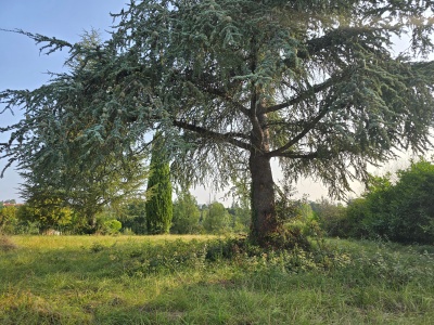 Terrain À Vendre