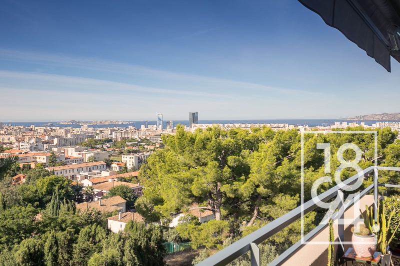 APPARTEMENT T3 TERRASSE BOX EN SOUS SOL
