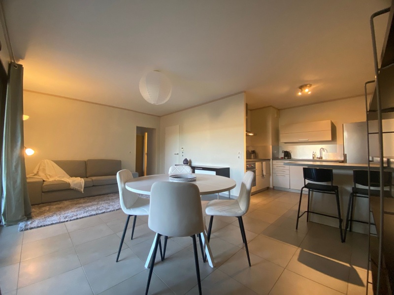 T2 50m² loué meublé avec garage jardin et terrasse