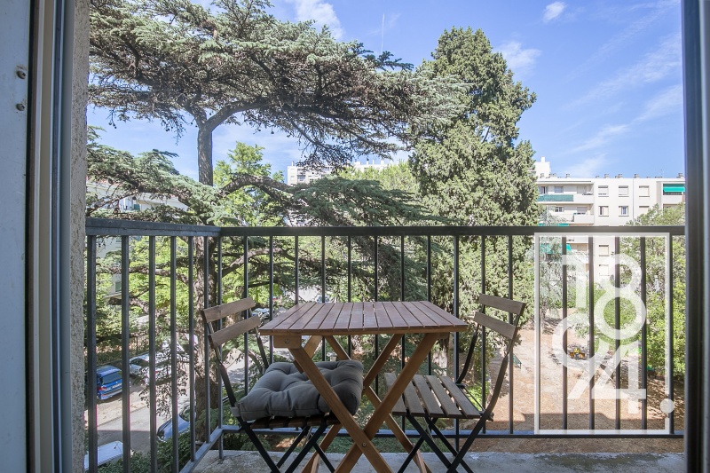 Beau T3 climatisé - Sainte Marguerite
